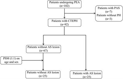 Clinical features and metabolic reprogramming of atherosclerotic lesions in patients with chronic thromboembolic pulmonary hypertension